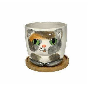 Window Garden Ceramic Cat Indoor Planter